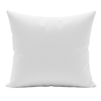 PODUSZKA 40x40 JASIEK