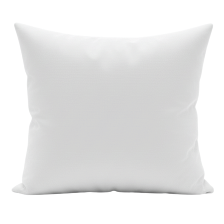 PODUSZKA 40x40 JASIEK